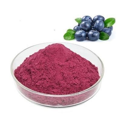 Blue-berry Fruit Extract Powder - Image 2