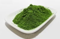 Organic Moringa Powder Smooth (India)