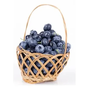 Blueberry Fragrance oil