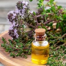 Thyme Essential Oil (Mother of thyme) - Image 2