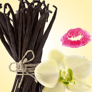 Vanilla Bean fragrance oil